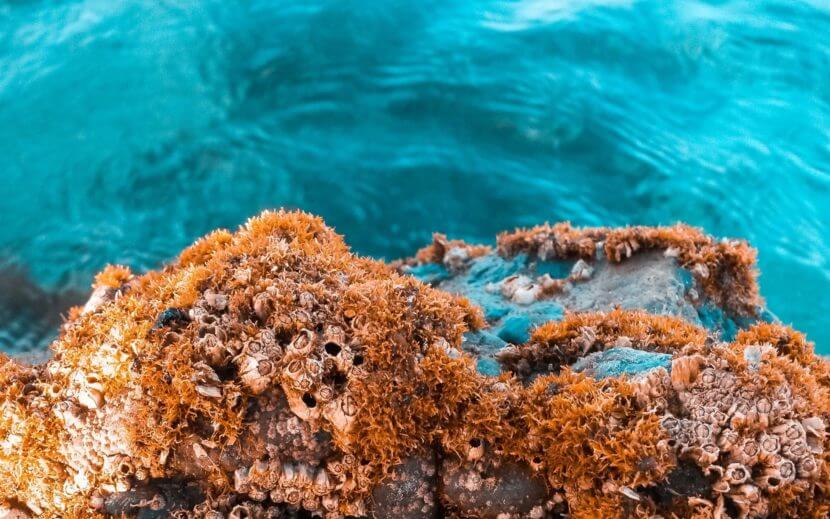 pexels-n-i-e-r-o-s-h-o-t-s-1311389