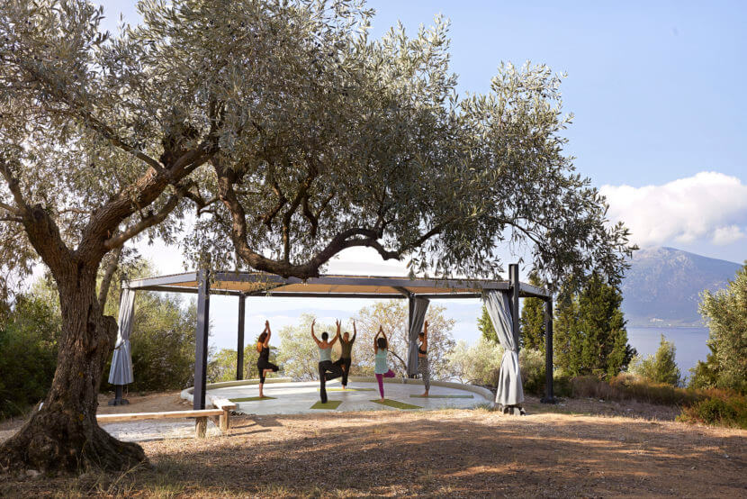 SIYShala&Olivetree