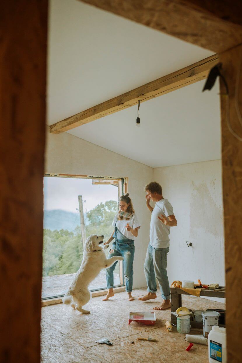 Budget friendly renovation of the house pexels-anastasia-shuraeva-5495067