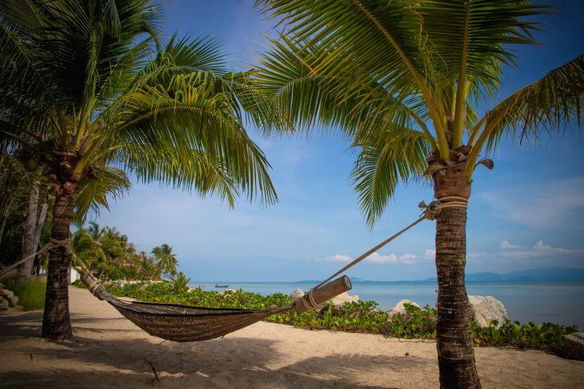 Private Island Escapes - роскошное уединение в раю pexels-peggy-anke-5598760