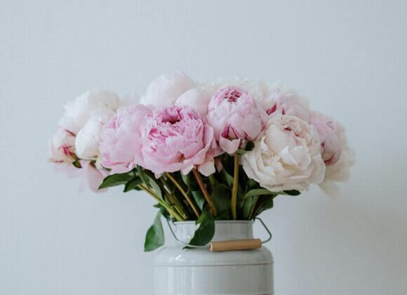 Garder un bouquet de fleurs frais : Voici comment faire pexels-cottonbro-studio-4499854-2