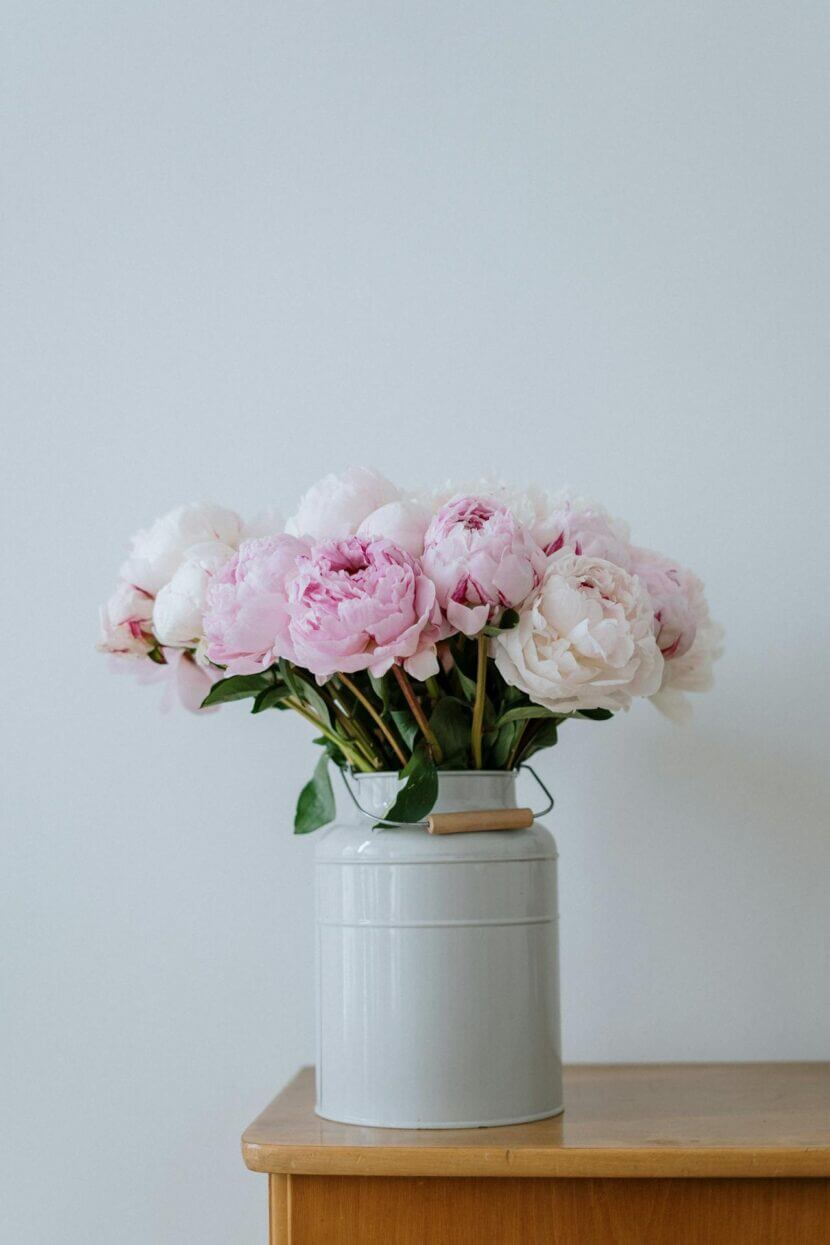 Keep your bouquet fresh: Here's how pexels-cottonbro-studio-4499854-2