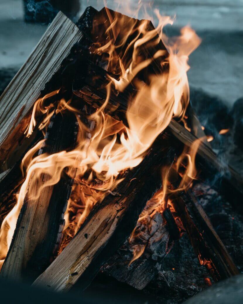 Firewood: What do I need to look out for? pexels-dmitriy-ganin-7716392