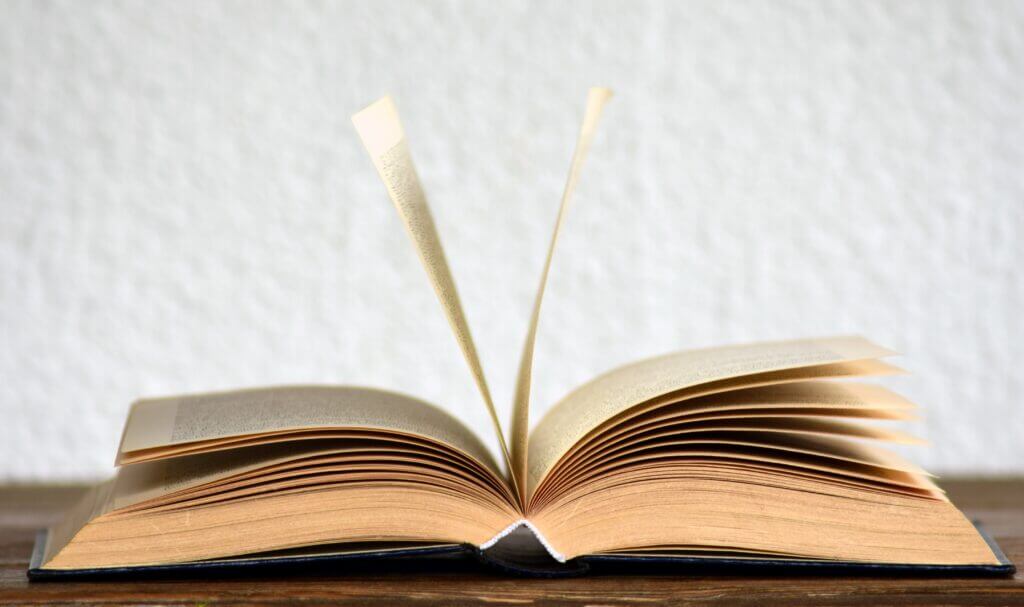 lustige Bücher, Buchtipp, Feel-Good-Romane, Roman, Bücher