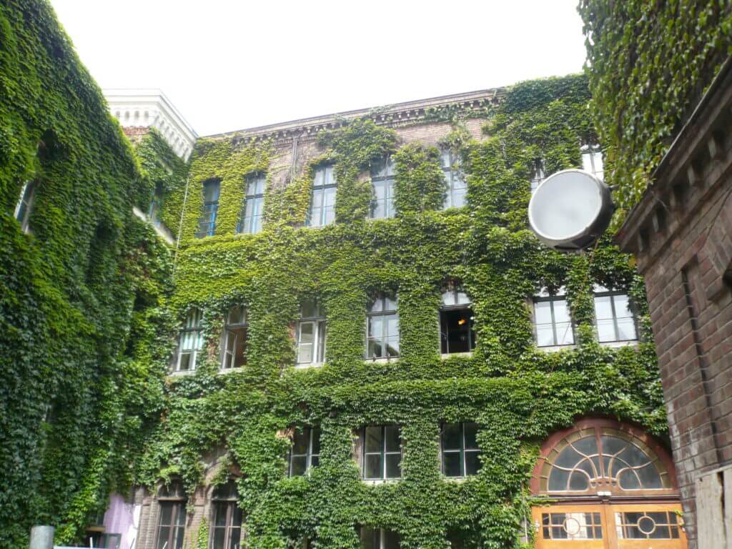 Climat, Façades végétalisées, Plantes, Ville
