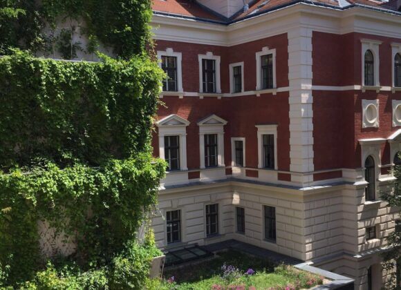 Les façades végétalisées : la climatisation la plus naturelle du monde troggebundene Fassadenbegrünung Gerüstkletterpflanzen (C)Weiss-Tessbach