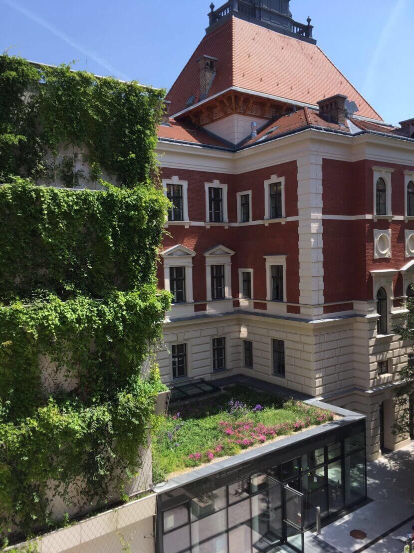 Les façades végétalisées : la climatisation la plus naturelle du monde troggebundene Fassadenbegrünung Gerüstkletterpflanzen (C)Weiss-Tessbach