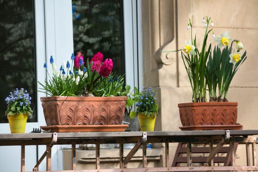 balcony-6169147_1280Bild von Alexander Fox _ PlaNet Fox auf Pixabay