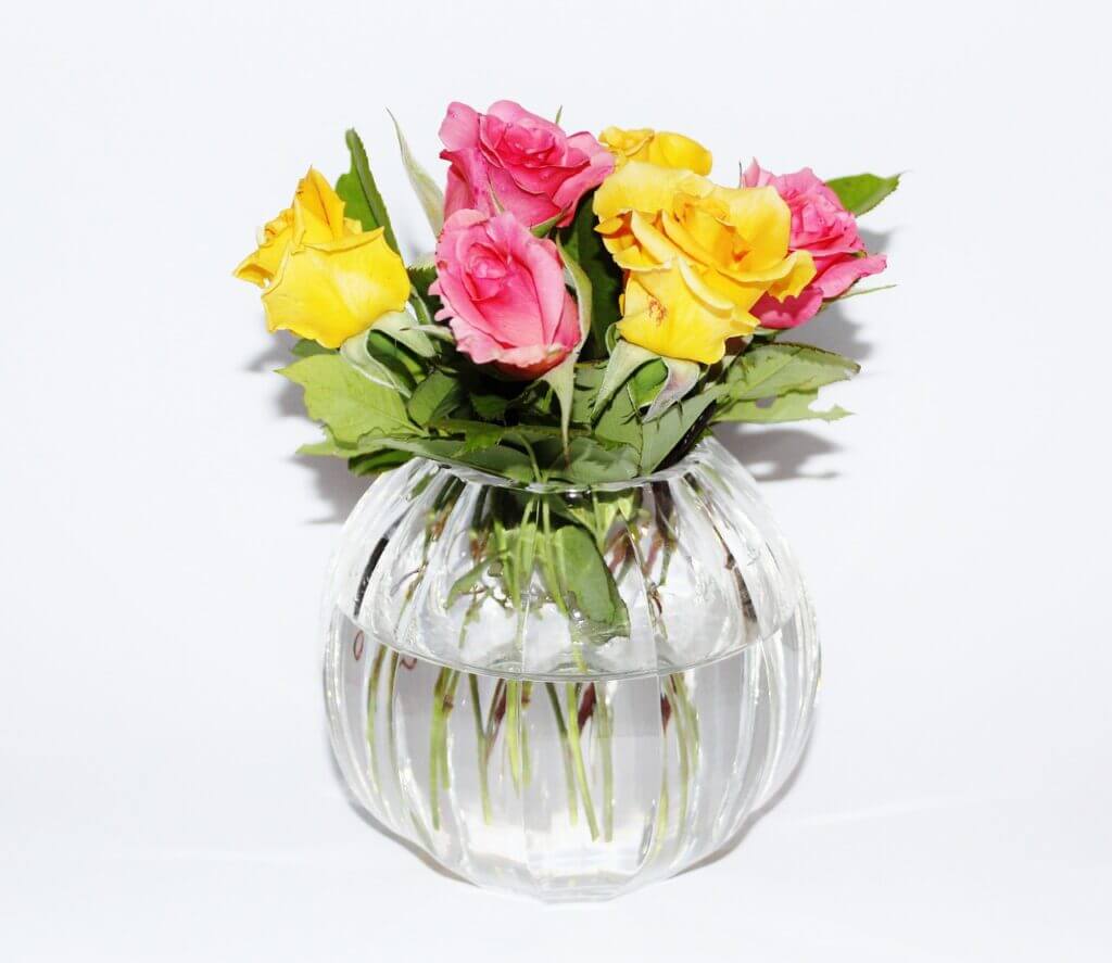 Vases ; Fleurs ; Fleurs coupées ; Décoration ; Intérieur
