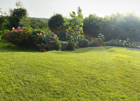 Lawn care: how to do it breisach_garten1