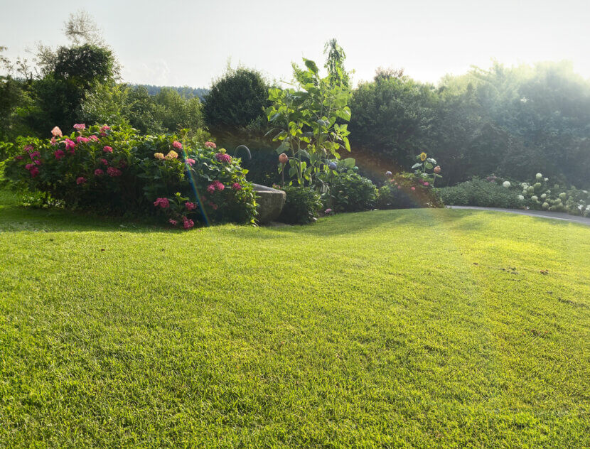 Lawn care: how to do it breisach_garten1