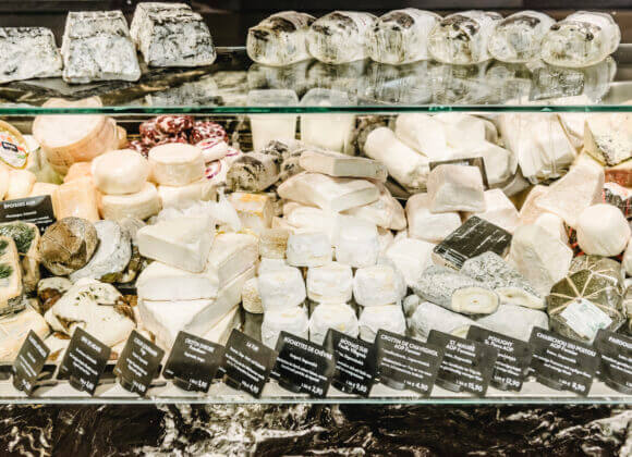 So ein Käse – die Kunst des perfekten Genusses Lingenhel; Restaurant, Feinkost; Stadtkäserei, Käse, Wien