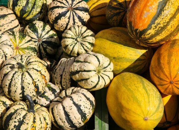 La courge, un aliment polyvalent pumpkin-3665347_1280