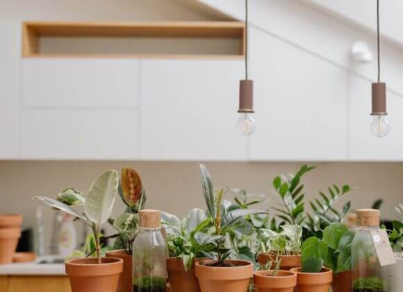 How kitchen furnishings influence your diet Kücheneinrichtung, Design