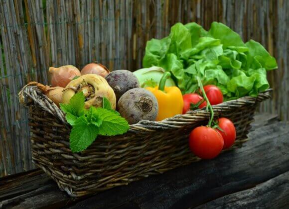 Voici les tendances alimentaires de 2025 vegetables-752153_1280