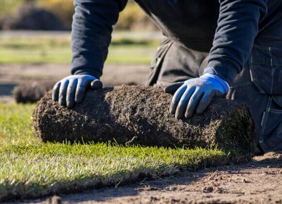 Laying turf Rollrasen verlegen_Bild von Holtepus auf Pixabay