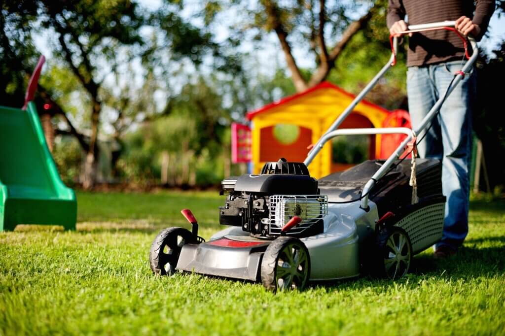 Lawn, Laying lawn, Seeding lawn