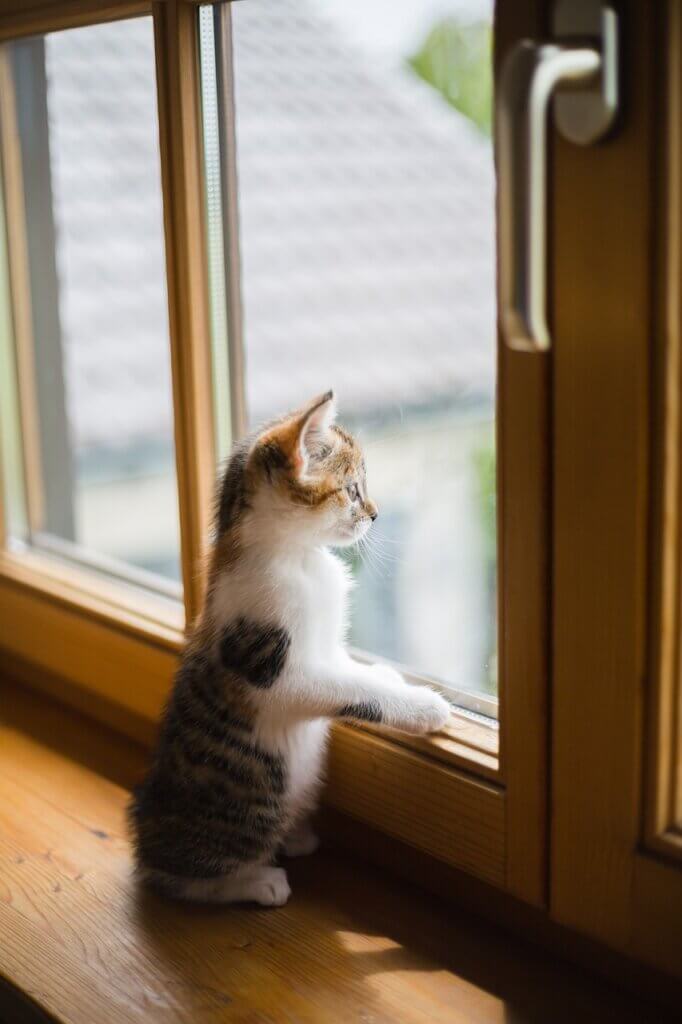 Window replacement, window replacement
