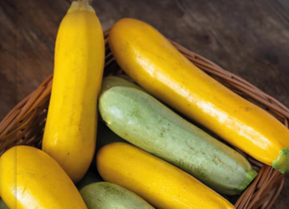 Рецепты с кабачками: от соленых до сладких Cover Zucchini