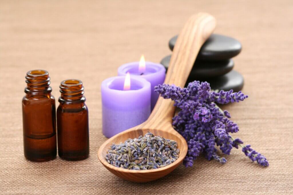 Lavendel pflegen