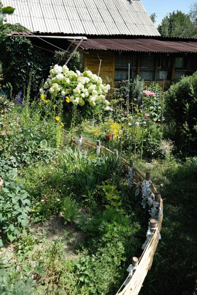 Permaculture garden, permaculture, planting a garden