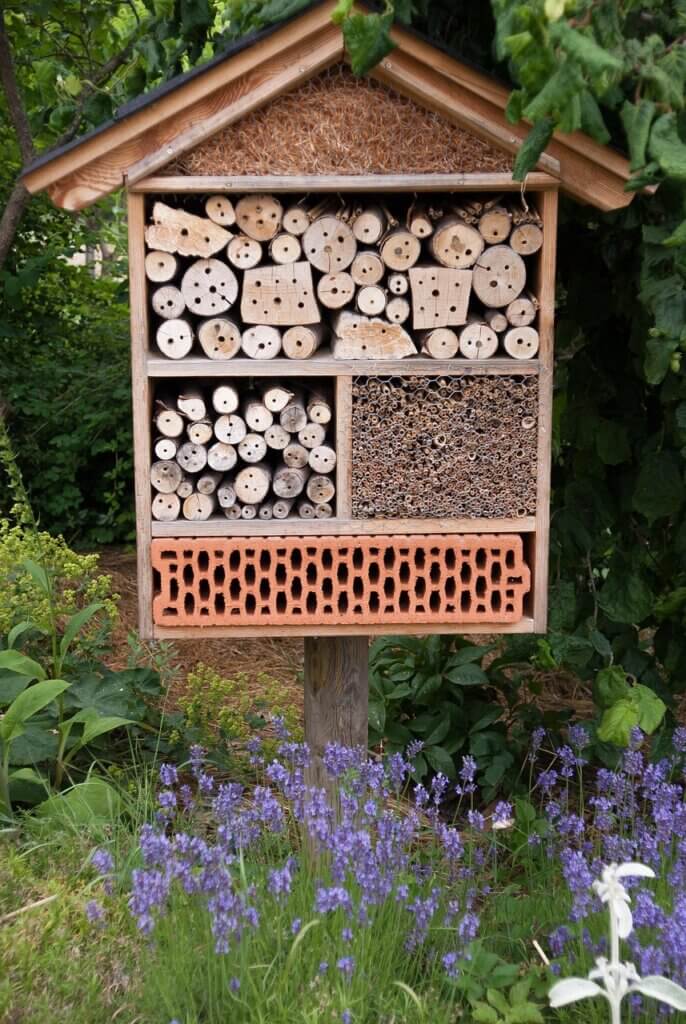 Permaculture garden, permaculture, planting a garden