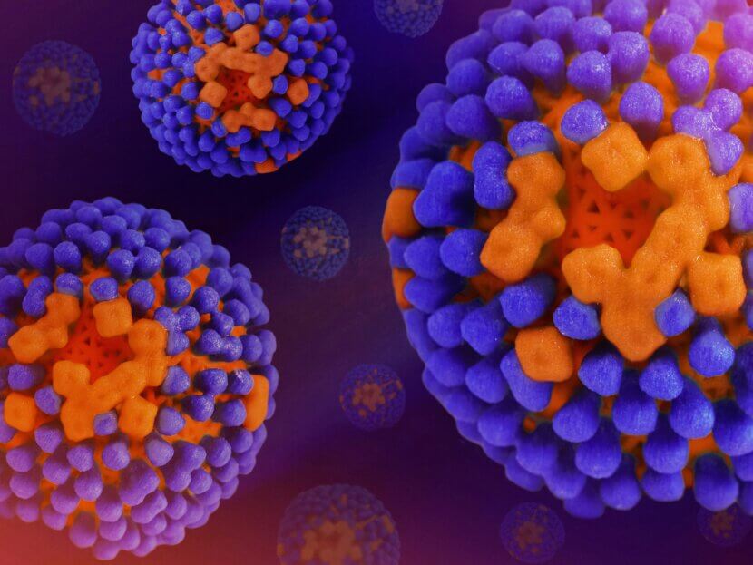 Keime im Alltag: Diese Orte sind echte Hotspots Keime_national-institute-of-allergy-and-infectious-diseases-Gc8vdk7YKJU-unsplash