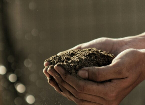Compost & engrais verts - en forme pour 2026 gabriel-jimenez-jin4W1HqgL4-unsplash