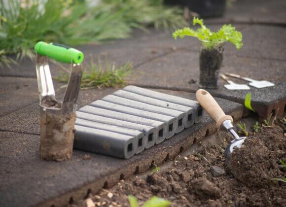 Entretien automnal : les meilleures astuces pour le gazon et les plates-bandes pexels-kampus-7658756
