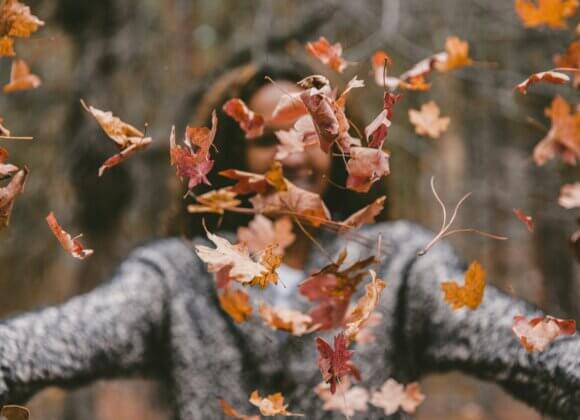 So the fall blues don't stand a chance Herbstspaziergang_jakob-owens-uE_N2i6-TRM-unsplash
