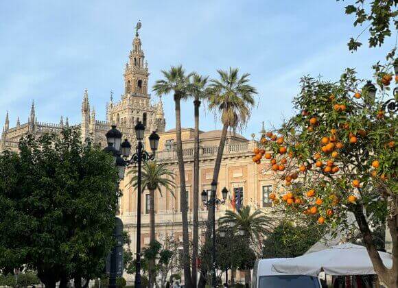 Travel series, part 7: On the road in ... Seville jean-luc-benazet-XvwIFxsbJJM-unsplash