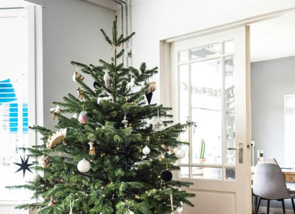 Pour que le sapin de Noël dure longtemps Image d'accroche_sven-brandsma-S9zAGWOlwPI-unsplash