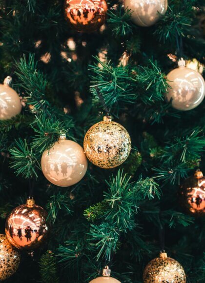 Photo d'ouverture_hert-niks-8XrYxWntkcM-unsplash