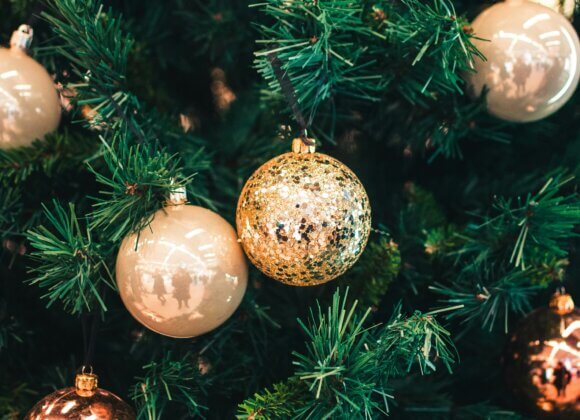 Christmas tree upcycling: New chance for fir, spruce and co. Lead photo_hert-niks-8XrYxWntkcM-unsplash