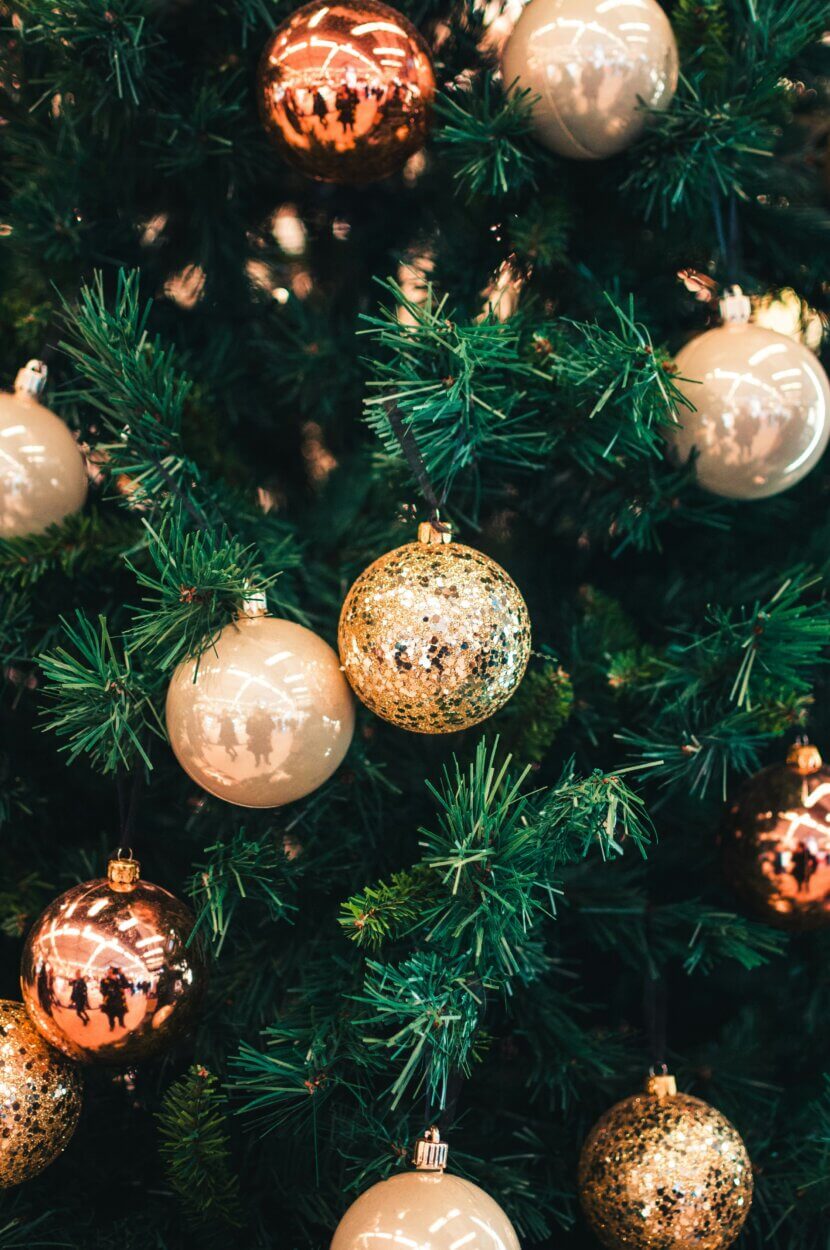Recyclage des sapins de Noël : une nouvelle chance pour le sapin, l'épicéa, etc. Photo d'ouverture_hert-niks-8XrYxWntkcM-unsplash