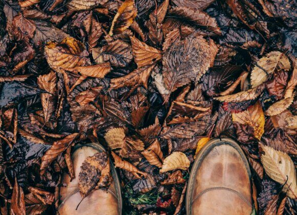 Ordnung im Vorraum: Die besten Wintertipps für Schuhe, Jacken & Co. clem-onojeghuo-Yfyt6q8gjaQ-unsplash