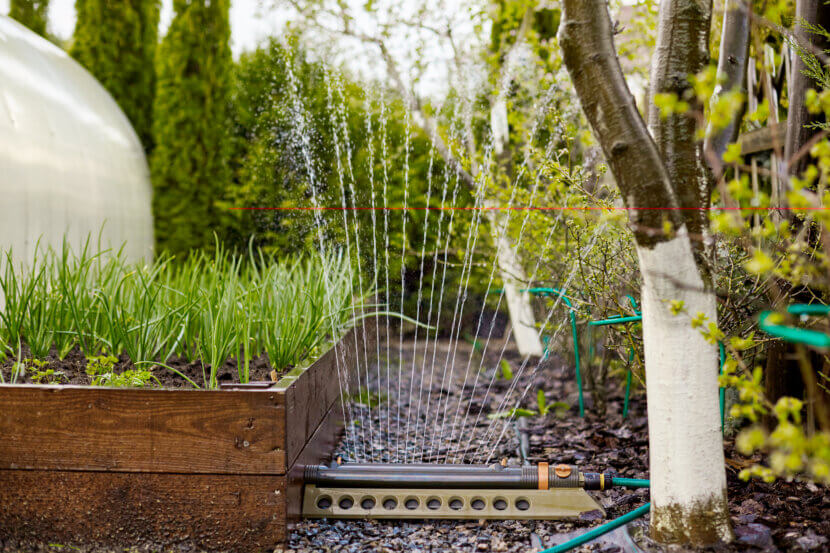 Contrôle technique en mars : 7 choses à vérifier maintenant Les oignons verts poussent dans un bac de jardinage spécial. Lit d'oignon pendant l'arrosage, place pour le texte