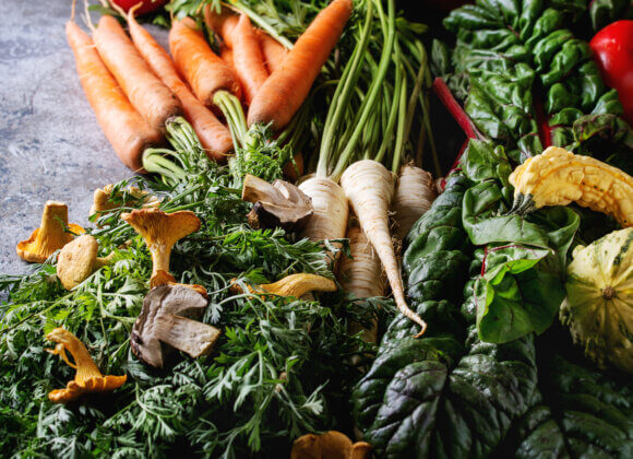 Variety of autumn harvest vegetables