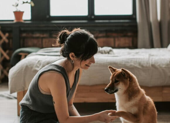 Furnishing a dog-friendly apartment lead_photo_pexels-vlada-karpovich-6802905