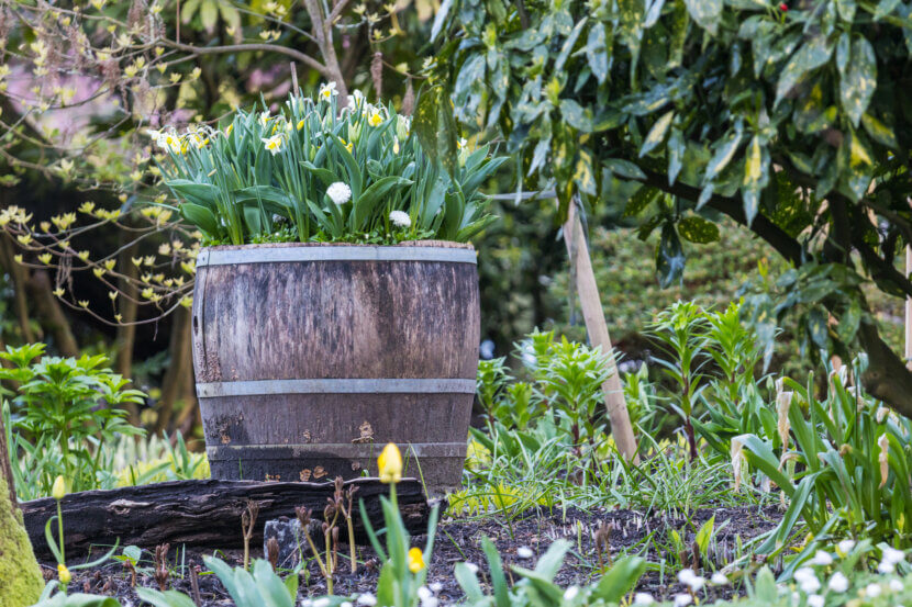 In garden