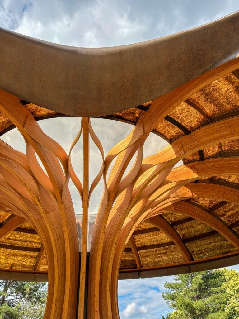 Building with wood, Sustainable building materials, Raw material
