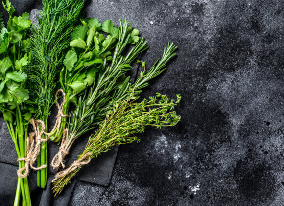 Fensterbank-Farming: Frische Zutaten aus dem Mini-Garten Assortment of fresh herbs coriander, rosemary, thyme, dill, pars