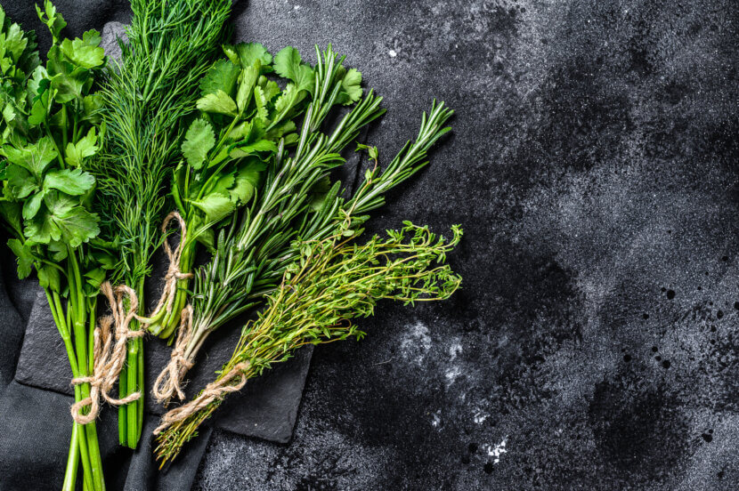 Windowsill farming: fresh ingredients from the mini garden Assortment of fresh herbs coriander, rosemary, thyme, dill, pars