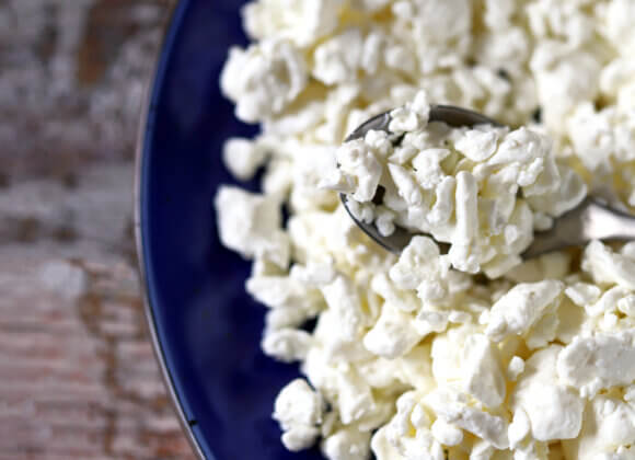 Cottage Cheese: Der unterschätzte Küchenstar – plus 3 Rezepte selective-focus-macro-organic-cottage-cheese-in-2026-01-09-15-07-53-utc