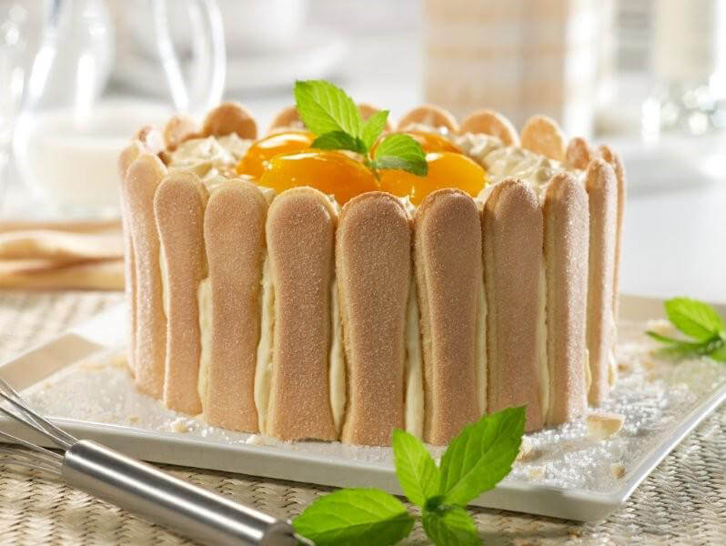 Topfen-Malakoff-Torte