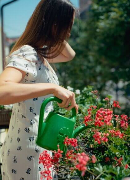 Arroser des fleurs_pexels-raymond-petrik-1448389535-27039892