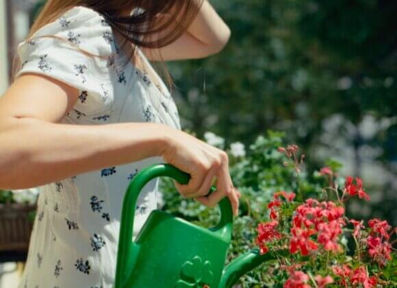 Arroser les plantes de balcon : comment garder fleurs et herbes aromatiques en bonne santé Arroser des fleurs_pexels-raymond-petrik-1448389535-27039892