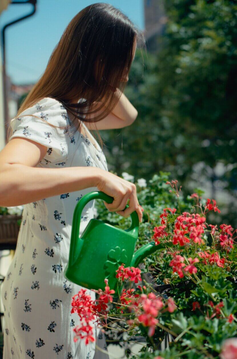 Полив цветов_pexels-raymond-petrik-1448389535-27039892