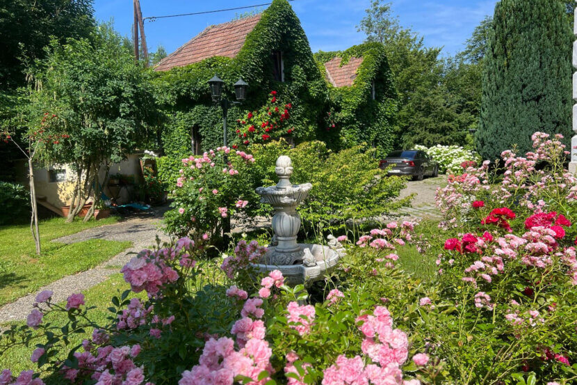 Bien immobilier de la semaine – Villa « Gebo » à Pressbaum Nouveau_3