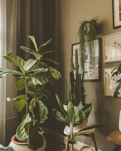 Photo d'en-tête_alp-duran-5MrddkW_Cbg-unsplash